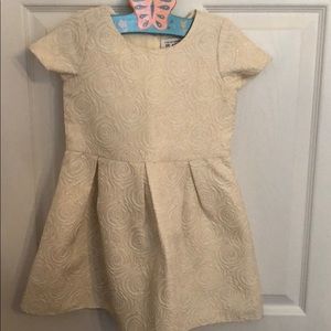 Little Girls Dressy Dress
